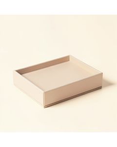 Standard Jewelry Organizer Tray (synthetic illustration; no displayed measurements)
