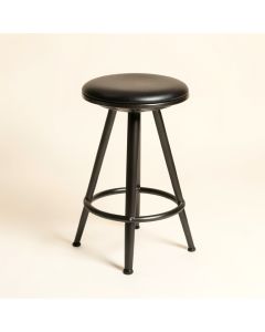 Mcmahan Worland Adjustable Height Bar Stool (synthetic illustration; no displayed measurements)