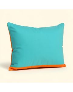 Agapius Rectangular Throw Pillow (synthetic illustration; no displayed measurements)