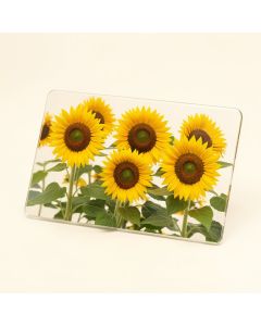 Counterart Tempered Glass Sunflower Fields Cutting Board (synthetic illustration; no displayed measurements)