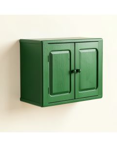 Briar Bridge Wall-Mounted Entry Cabinet - Green (synthetic illustration; no displayed measurements)