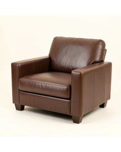 Hoppe 79 '' Pillow Top Arm Loveseat (synthetic illustration; no displayed measurements)