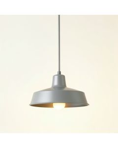 Hazel Brook Pendant Light Suspended From One Plain Cable - Gray (synthetic illustration; no displayed measurements)