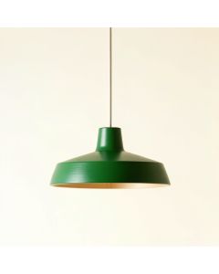 Elm Bend Pendant Light Suspended From One Plain Cable - Green (synthetic illustration; no displayed measurements)