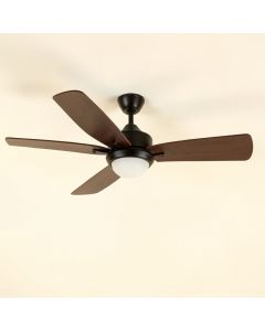 42 '' Raseborg 5 - Blade Standard Ceiling Fan (synthetic illustration; no displayed measurements)