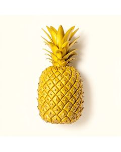 Richland Modern Pineapple Whole Cut On Basketweave Wall Décor (synthetic illustration; no displayed measurements)