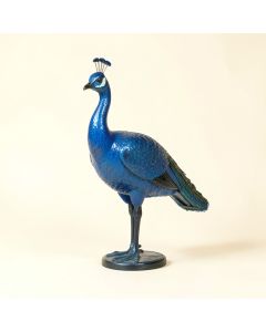 Candia Metal Peacock Statue (synthetic illustration; no displayed measurements)
