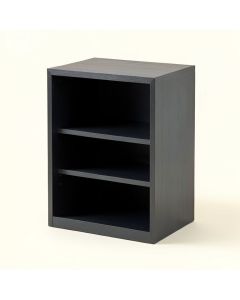 Entryway 12 Pair Shoe Storage Cabinet (synthetic illustration; no displayed measurements)