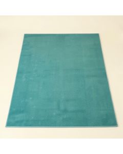 Reyyan Teal Indoor / Outdoor Area Rug (synthetic illustration; no displayed measurements)