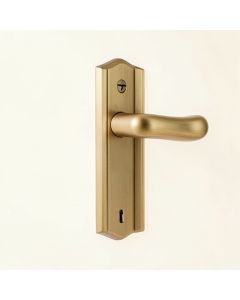 Waterfront Keyed Door Lever (synthetic illustration; no displayed measurements)