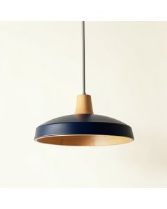 Moss Branch Pendant Light Suspended From One Plain Cable - Navy (synthetic illustration; no displayed measurements)