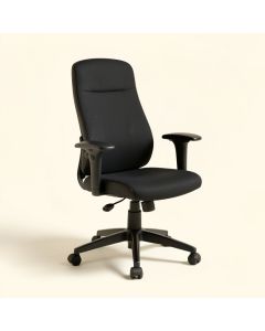 Eiladh Home Office Computer Task Chair (synthetic illustration; no displayed measurements)