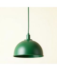 Fern Bridge Pendant Light Suspended From One Plain Cable - Green (synthetic illustration; no displayed measurements)