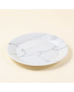 Danya 8 '' Melamine Salad Or Dessert Plate (synthetic illustration; no displayed measurements)