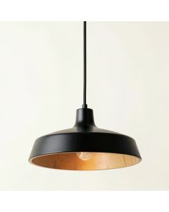 Cedar Dell Pendant Light Suspended From One Plain Cable - Black (synthetic illustration; no displayed measurements)
