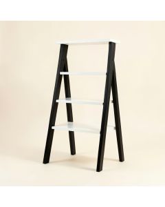 Haralda 55 '' H X 24 '' W Ladder Bookcase (synthetic illustration; no displayed measurements)
