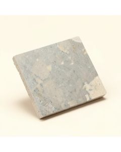 Penny 0.8 '' X 0.8 '' Porcelain Mosaic Tile (synthetic illustration; no displayed measurements)