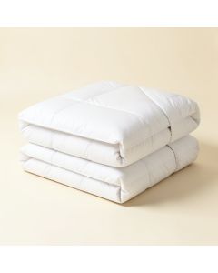 Rigina Reversible Comforter Set (synthetic illustration; no displayed measurements)