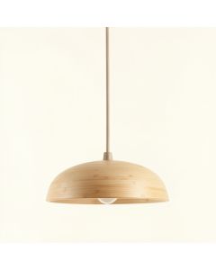 Juniper Canyon Pendant Light Suspended From One Plain Cable - Beige (synthetic illustration; no displayed measurements)