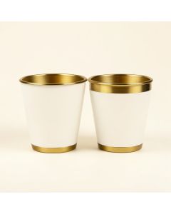 Aiden 2 Piece Metal Pot Planter Set (synthetic illustration; no displayed measurements)