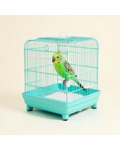Double Roof Parakeet Bird Starter Kit (synthetic illustration; no displayed measurements)