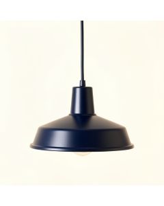 Slate Branch Pendant Light Suspended From One Plain Cable - Navy (synthetic illustration; no displayed measurements)