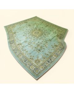 Indira Oriental Green/Light Blue Area Rug (synthetic illustration; no displayed measurements)