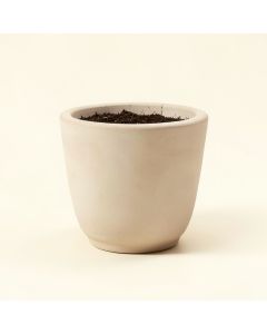 Carreras Self-Watering Resin Pot Planter (synthetic illustration; no displayed measurements)