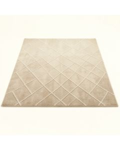 Spruce Bluff Rectangular Area Rug - Beige (synthetic illustration; no displayed measurements)
