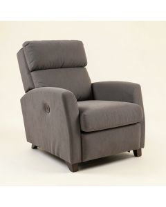 Doroteia 36 '' Wide Manual Rocker Standard Recliner (synthetic illustration; no displayed measurements)