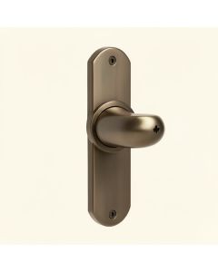 Broadway Privacy Door Lever With Rosette (synthetic illustration; no displayed measurements)