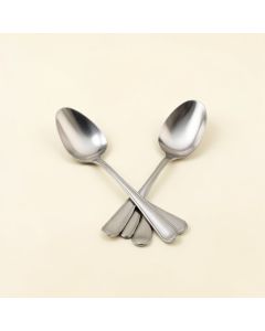 Cake 2 Piece Serving Set (synthetic illustration; no displayed measurements)