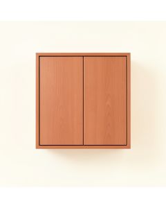 Hazel Dale Wall-Mounted Entry Cabinet - Terracotta (synthetic illustration; no displayed measurements)