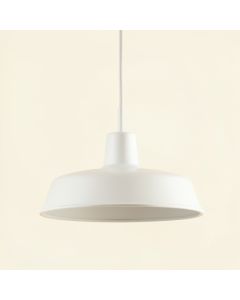 Hill Arc Pendant Light Suspended From One Plain Cable (synthetic illustration; no displayed measurements)