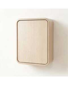 Juniper Crest Wall-Mounted Laundry Cabinet - Beige (synthetic illustration; no displayed measurements)