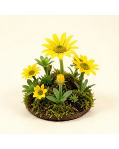 Miniature Solar Flower Shop Fairy Garden (synthetic illustration; no displayed measurements)