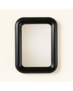 Aspen Canyon Framed Wall Mirror - Black (synthetic illustration; no displayed measurements)