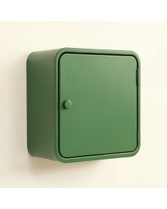 Briar Dale Wall-Mounted Entry Cabinet - Green (synthetic illustration; no displayed measurements)