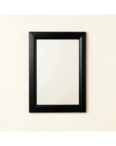 Moss Bridge Framed Wall Mirror - Black (synthetic illustration; no displayed measurements)