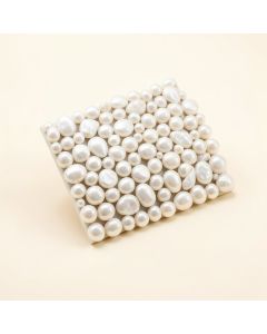 Lokahi 0.39 '' X 0.79 '' Seashell Random Mosaic Wall & Floor Tile (synthetic illustration; no displayed measurements)