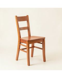 Ridge Bluff Dining Chair - Terracotta (synthetic illustration; no displayed measurements)