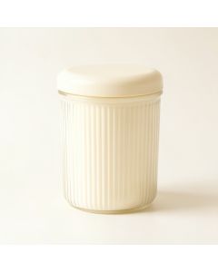 Holly Branch Storage Canister With Lid - Ivory (synthetic illustration; no displayed measurements)