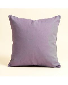 Brief Light Decorative Square Pillow Cover & Insert (synthetic illustration; no displayed measurements)