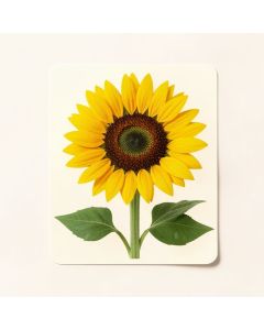 Sunflower Wall Sticker (synthetic illustration; no displayed measurements)