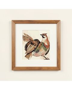 Feathered Beauty Prints By Grace Feyock - 4 Piece Picture Frame Painting Print Set On Paper (synthetic illustration; no displayed measurements)