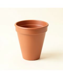 Fern Arc Empty Planter (synthetic illustration; no displayed measurements)