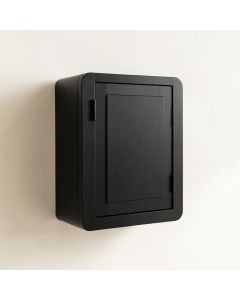 Dawn Canyon Wall-Mounted Laundry Cabinet - Black (synthetic illustration; no displayed measurements)