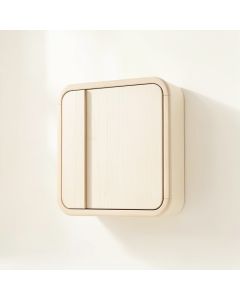 Linden Bluff Wall-Mounted Entry Cabinet - Ivory (synthetic illustration; no displayed measurements)