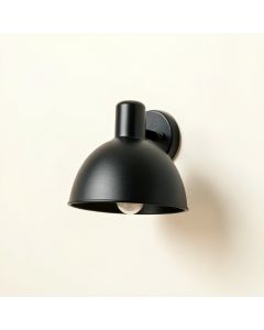 Fern Crest Wall Sconce Mounted On A Plain Wall - Black (synthetic illustration; no displayed measurements)
