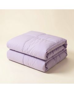 Alvontae Comforter Set (synthetic illustration; no displayed measurements)